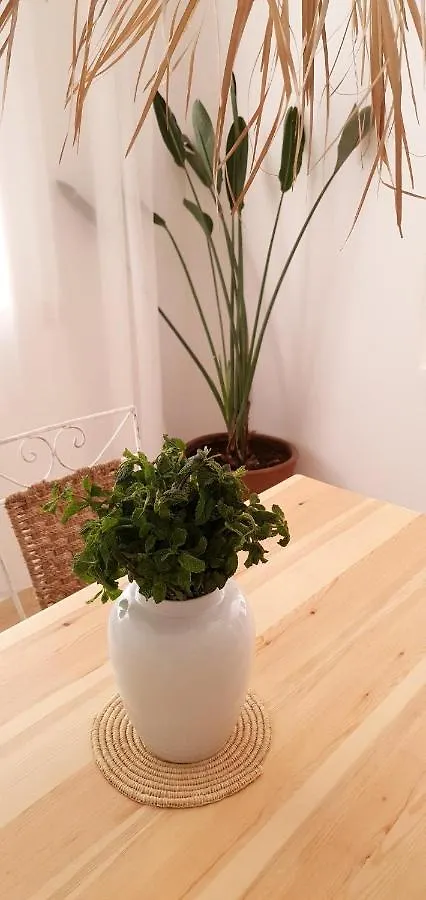 Fresh Designed Next To The Sea -Nice Area - Wifi Essaouira Apartment